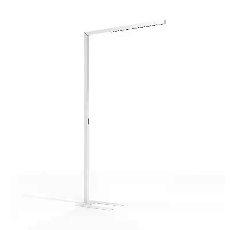 Free-standing light