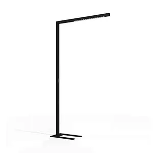 Free-standing light