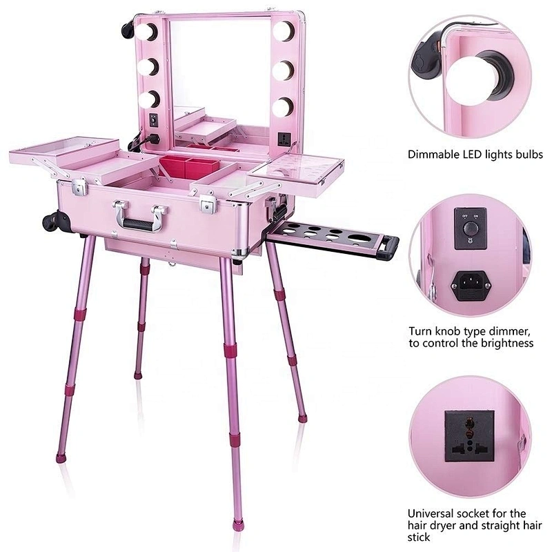 Professional Artist Makeup Case with Lights Aluminum Trolley Train Beauty Case with LED Mirror