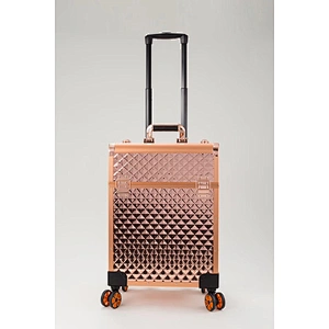 Rolling Aluminum Makeup Case Cosmetic Train Box Trolley Storage With 4 Trays