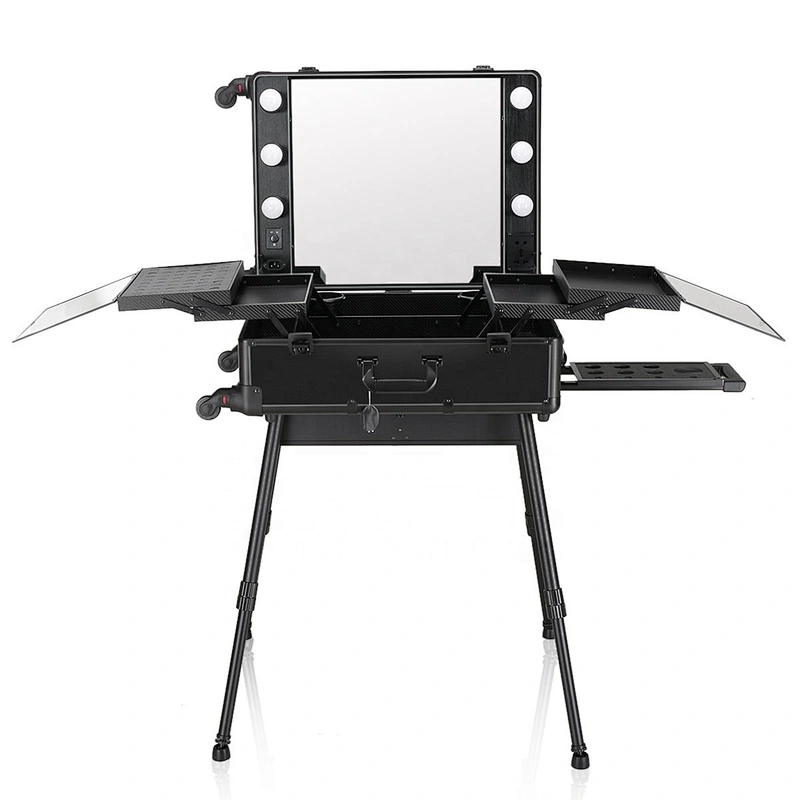 rolling Makeup Artist Train Box with Lights Station Trolley Studio Wheeled Case