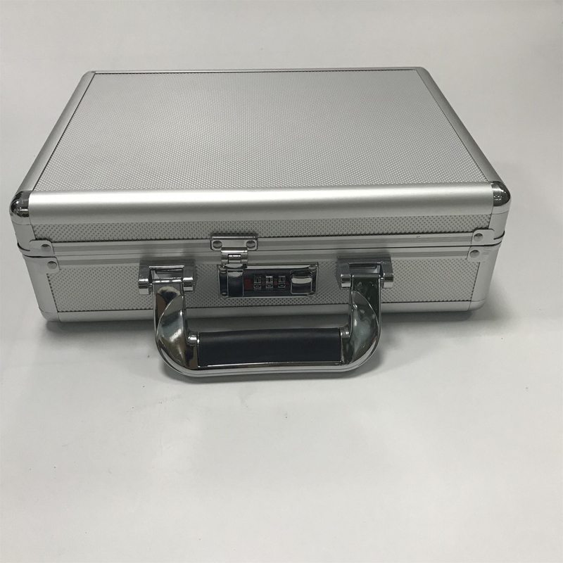 silver gun case