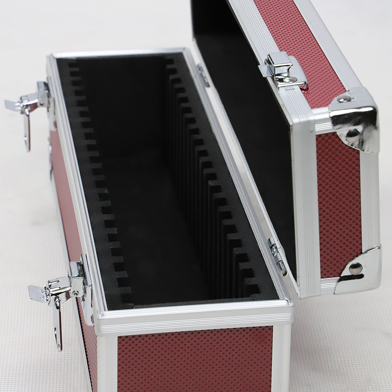 20 slabs coin case