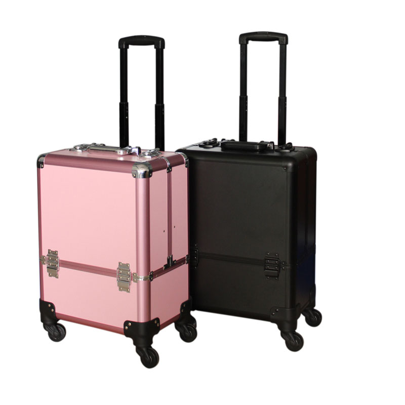pro makeup case