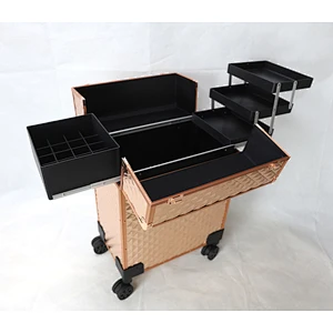 Lockable Professional Makeup Rolling Trolley Organizer Case Aluminum Makeup Case Rolling Makeup Case