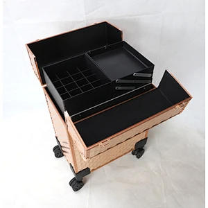 Lockable Professional Makeup Rolling Trolley Organizer Case Aluminum Makeup Case Rolling Makeup Case