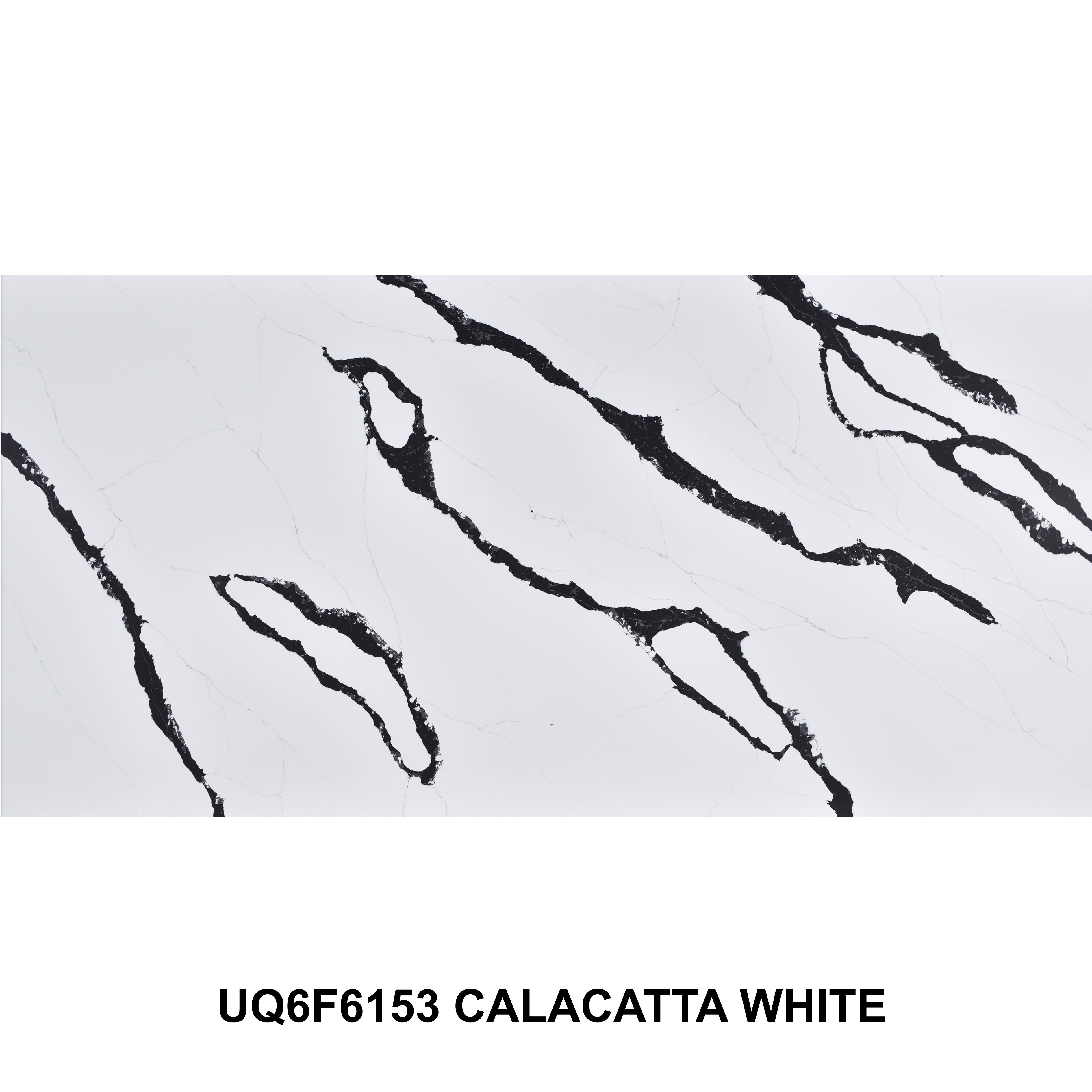 Panda Calacatta UQ6F6153