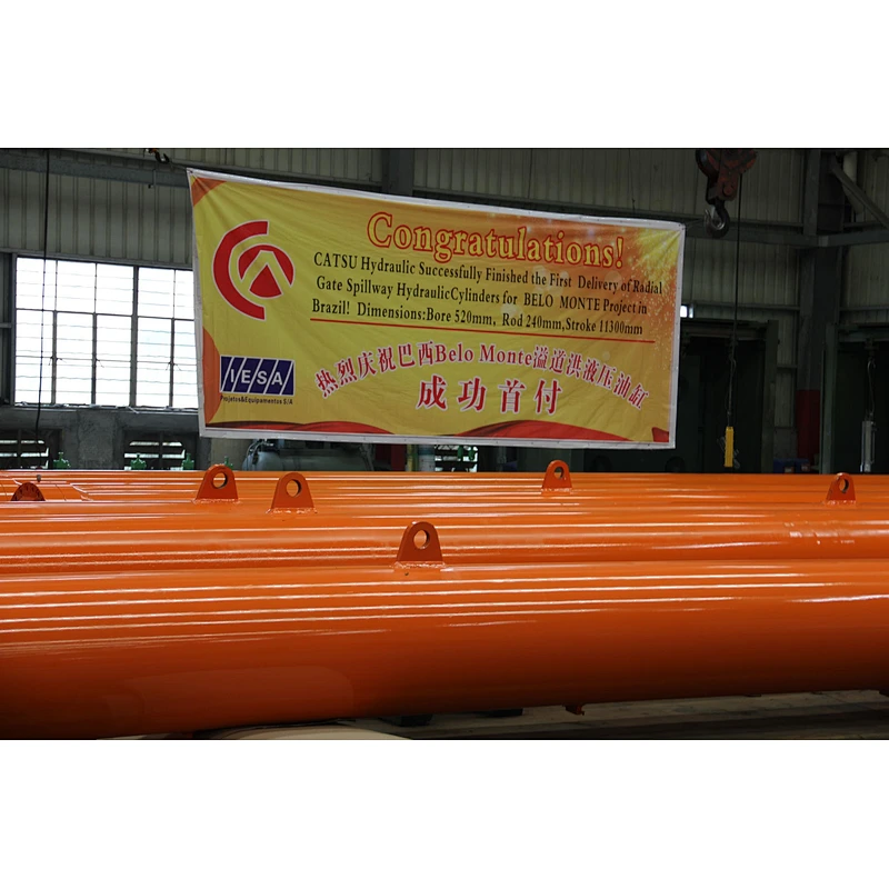 Radial Gate spillway hydraulic cylinder