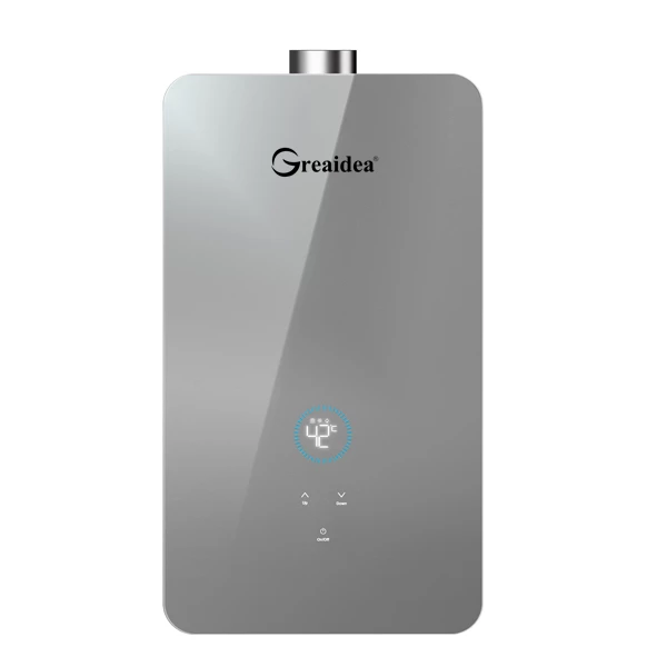 Constant Temperature Gas Water Heater JSQ-D306A