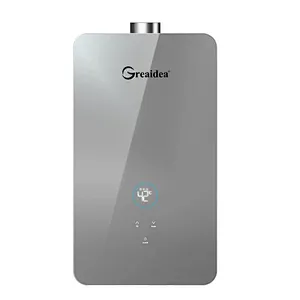 Constant Temperature Gas Water Heater JSQ-D306A