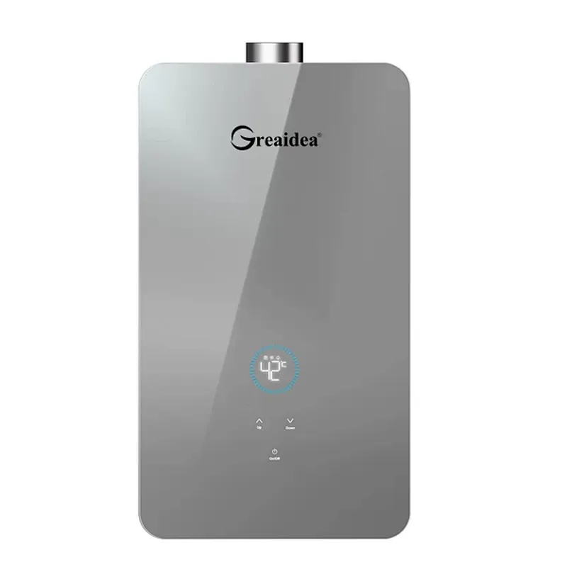 Constant Temperature Gas Water Heater JSQ-D306A