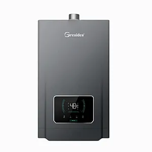 Recirculation Forced Type Constant Temperature Gas Water Heaters JSQ-D210