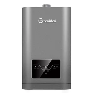 Constant Temperature Gas Water Heater JSQ-D501B