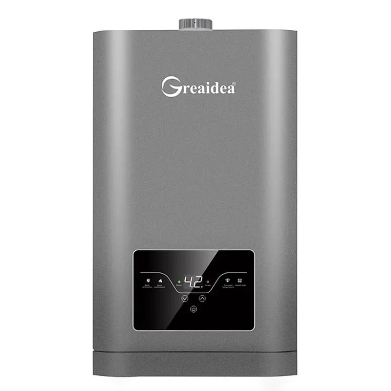 Constant Temperature Gas Water Heater JSQ-D501B