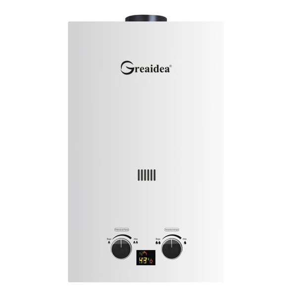 Flue Duct Gas Water Heater JSD-D11