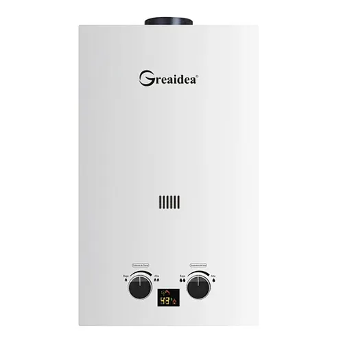 Flue Duct Gas Water Heater JSD-D11