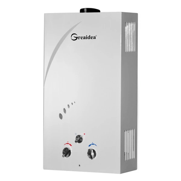 Flue Duct Gas Water Heater JSD-A6