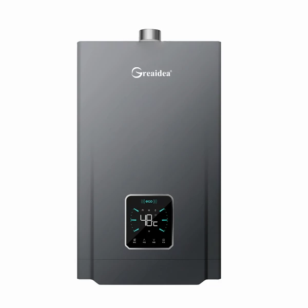 Constant Temperature Gas Water Heater JSQ-D207