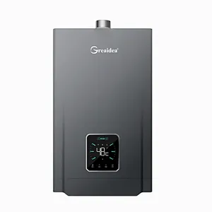 Constant Temperature Gas Water Heater JSQ-D207