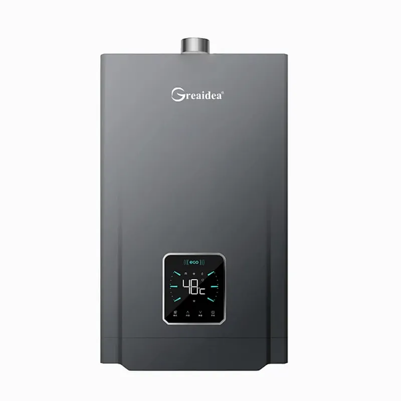 Constant Temperature Gas Water Heater JSQ-D207