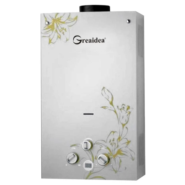 Flue Duct Gas Water Heater JSD-G6