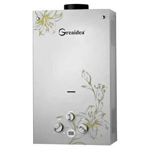 Flue Duct Gas Water Heater JSD-G6