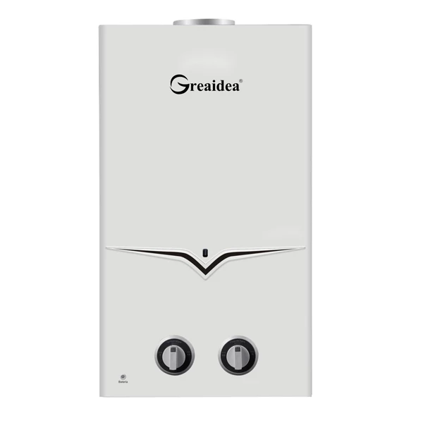Flue Duct Gas Water Heater JSD-A1