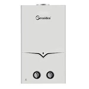 Flue Duct Gas Water Heater JSD-A1
