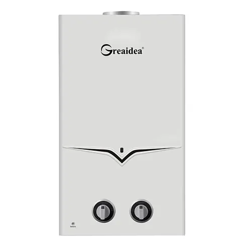 Flue Duct Gas Water Heater JSD-A1