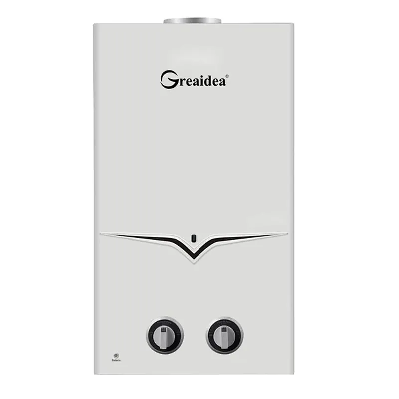 Flue Duct Gas Water Heater JSD-A1