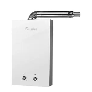 Balance Type Gas Water Heater JSB-B1