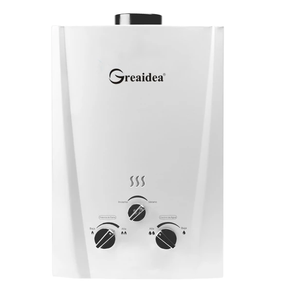 Flue Duct Gas Water Heater JSD-W2