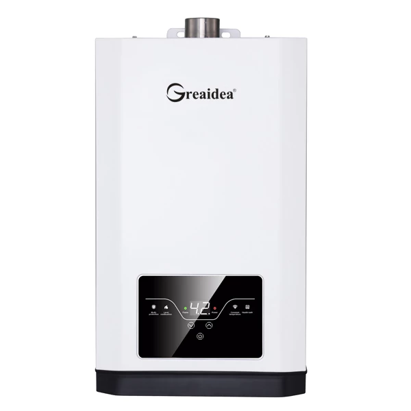 Constant Temperature Gas Water Heater JSQ-D501A