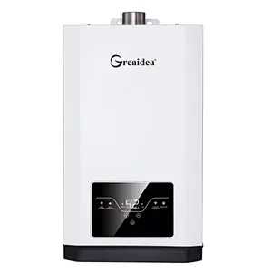 Constant Temperature Gas Water Heater JSQ-D501A