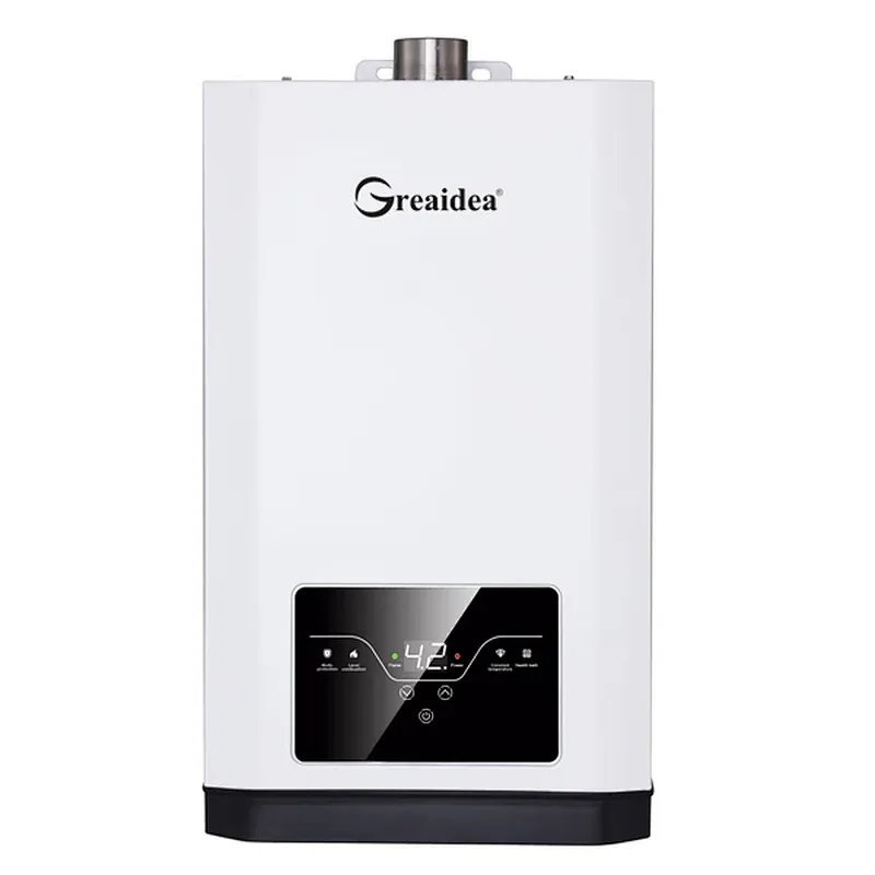 Constant Temperature Gas Water Heater JSQ-D501A