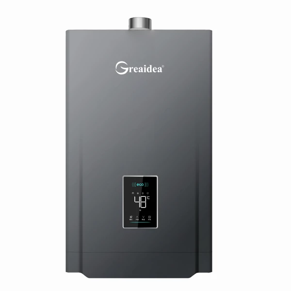 Constant Temperature Gas Water Heater JSQ-D211