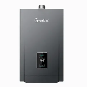 Constant Temperature Gas Water Heater JSQ-D211