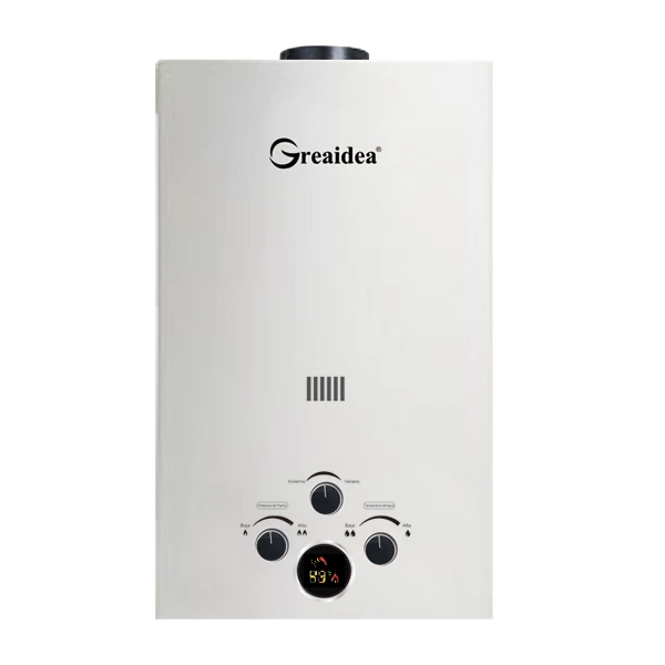 Flue Duct Gas Water Heater JSD-D12