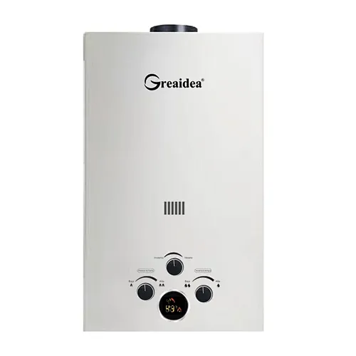 Flue Duct Gas Water Heater JSD-D12