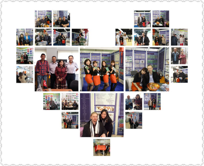 exhibition show.png