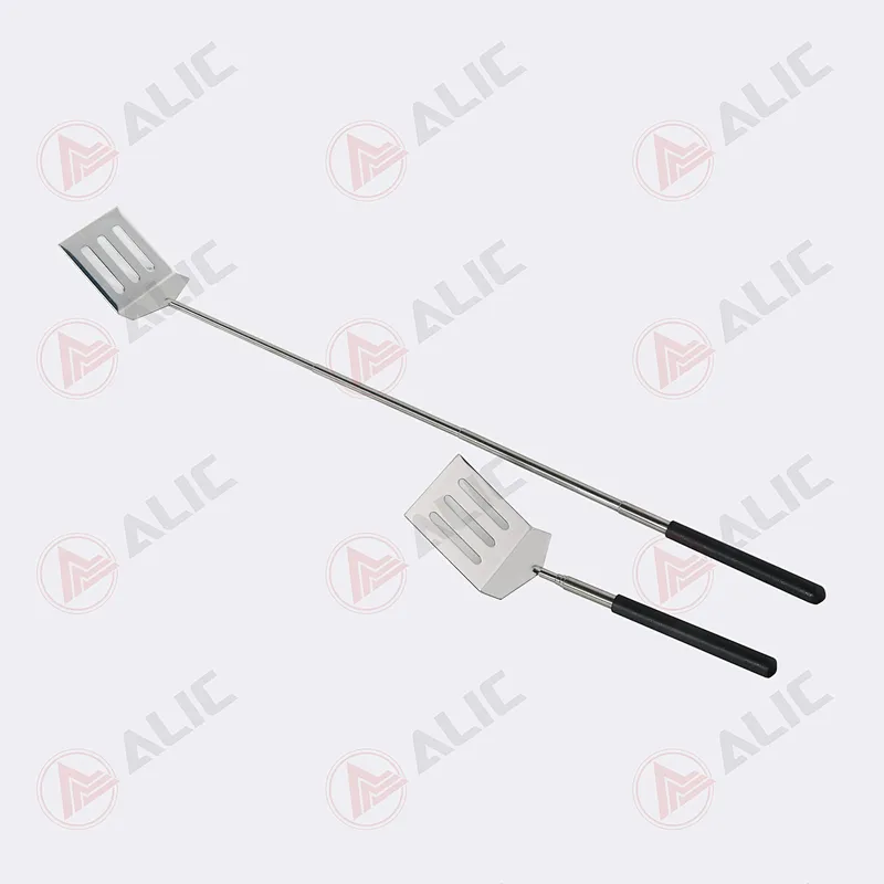 Extendable Spatula