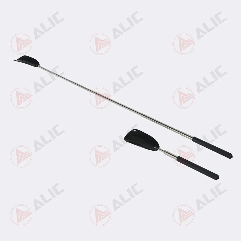 Extendable Handle Shoe Horn