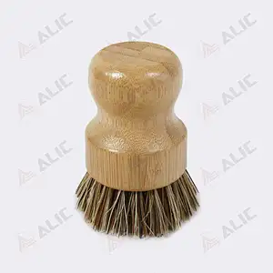 Palm Bristle Dish Brush