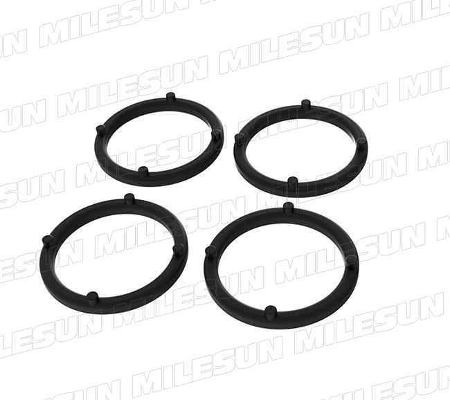 Rubber Gasket