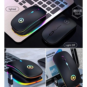 HOT LED Mouse 2.4G Wireless Rechargable Mute 3D Gaing Mouse with Backlit Mouse