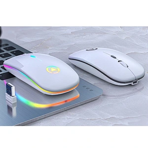 HOT LED Mouse 2.4G Wireless Rechargable Mute 3D Gaing Mouse with Backlit Mouse
