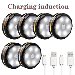 6 LED Motion sensor wall for house night light