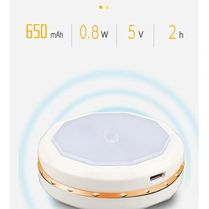 6 LED Motion sensor wall for house night light