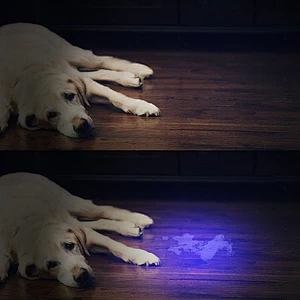 51 LED uv flashlight