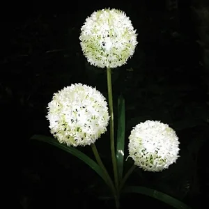 Durable decorative LED garden yard dandelion waterproof IP55 solar flower lights